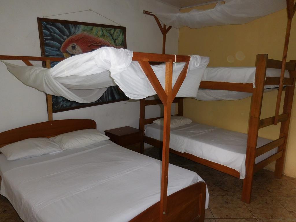 Tambopata Hostel Пуерто Малдонадо Екстериор снимка